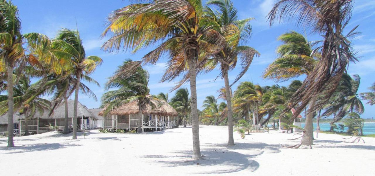 Cabanas Ecoturisticas Costa Maya มาอาอวล ภายนอก รูปภาพ