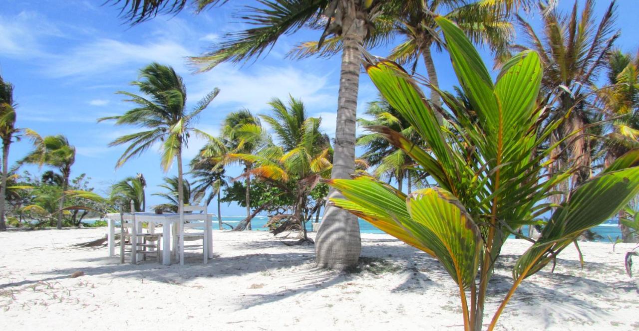 Cabanas Ecoturisticas Costa Maya มาอาอวล ภายนอก รูปภาพ