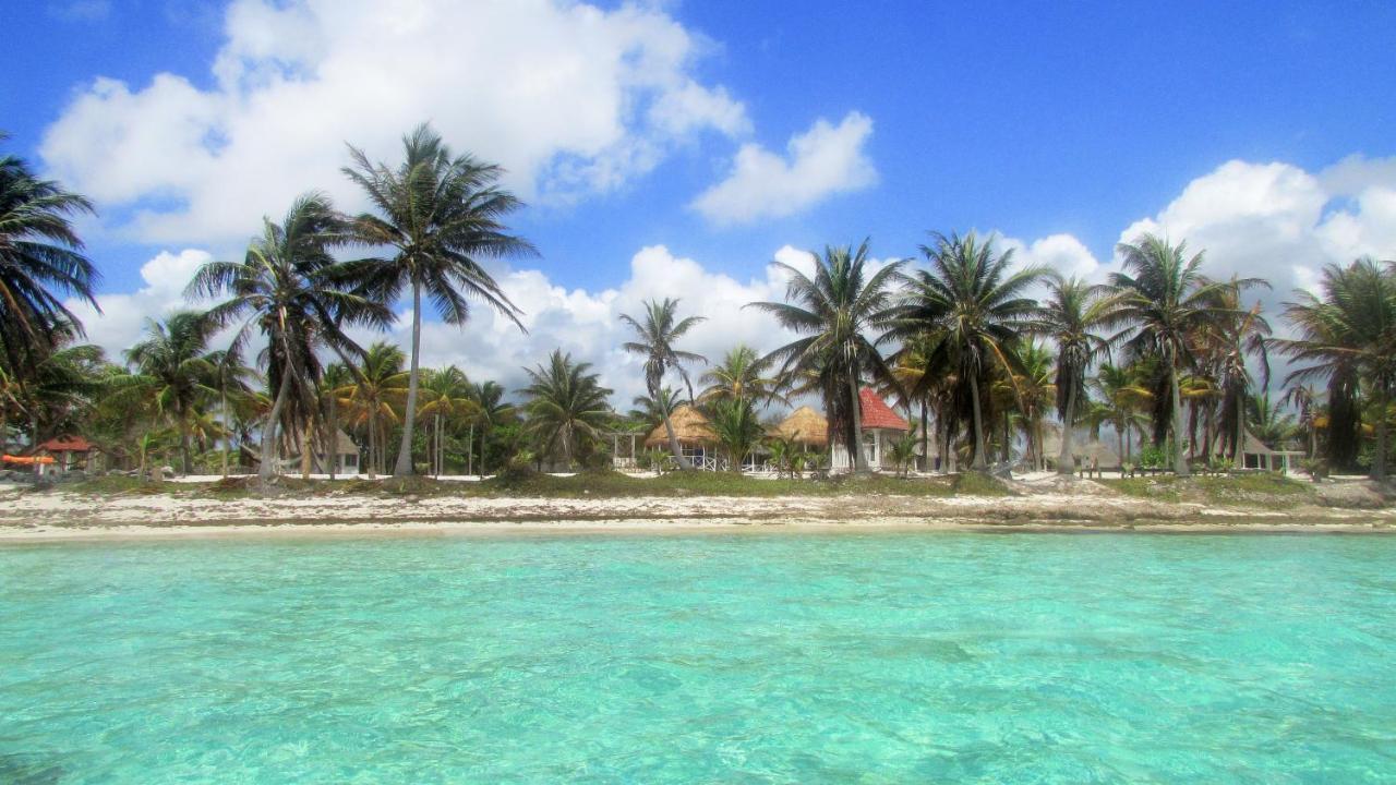 Cabanas Ecoturisticas Costa Maya มาอาอวล ภายนอก รูปภาพ