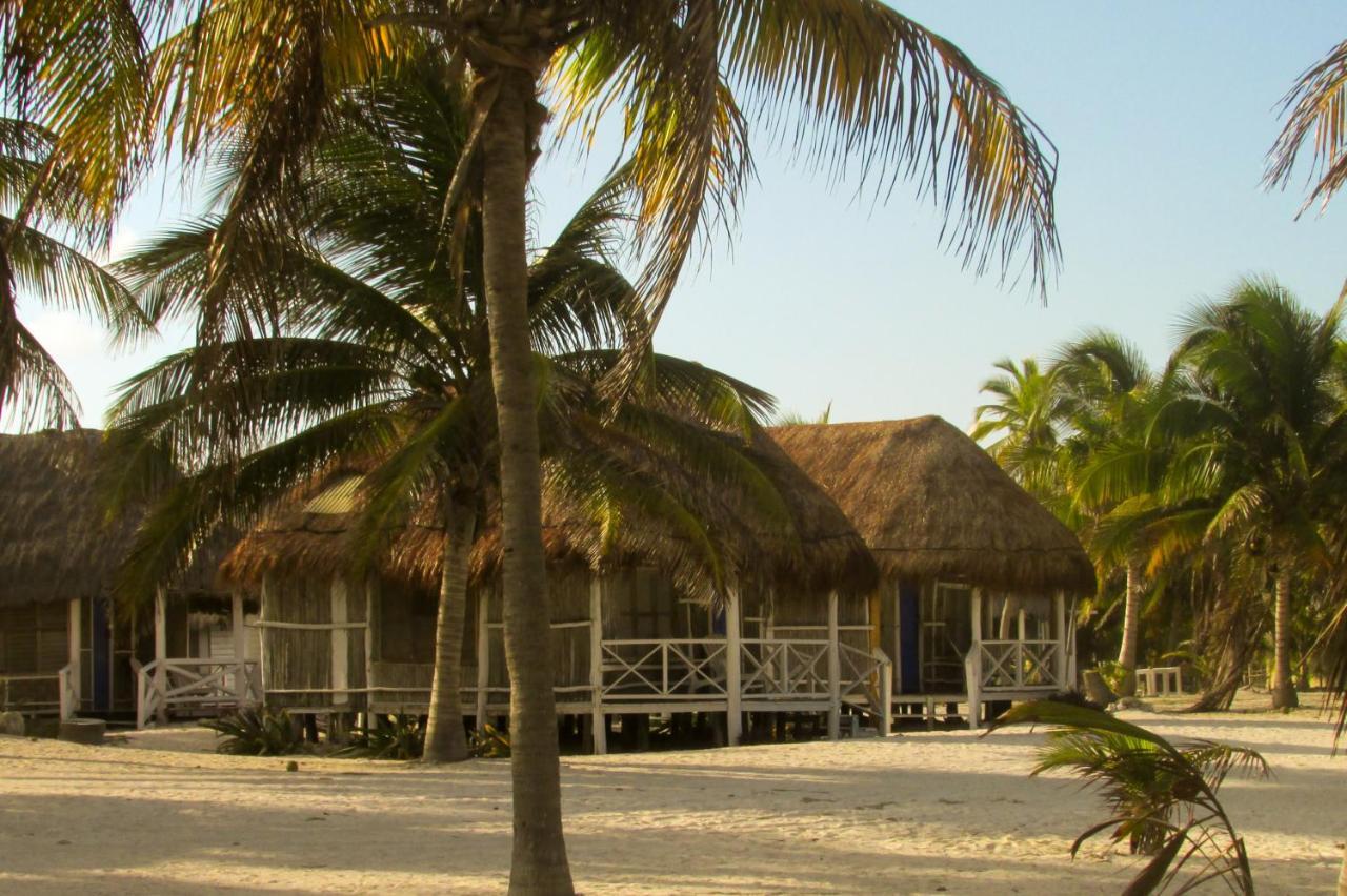 Cabanas Ecoturisticas Costa Maya มาอาอวล ภายนอก รูปภาพ