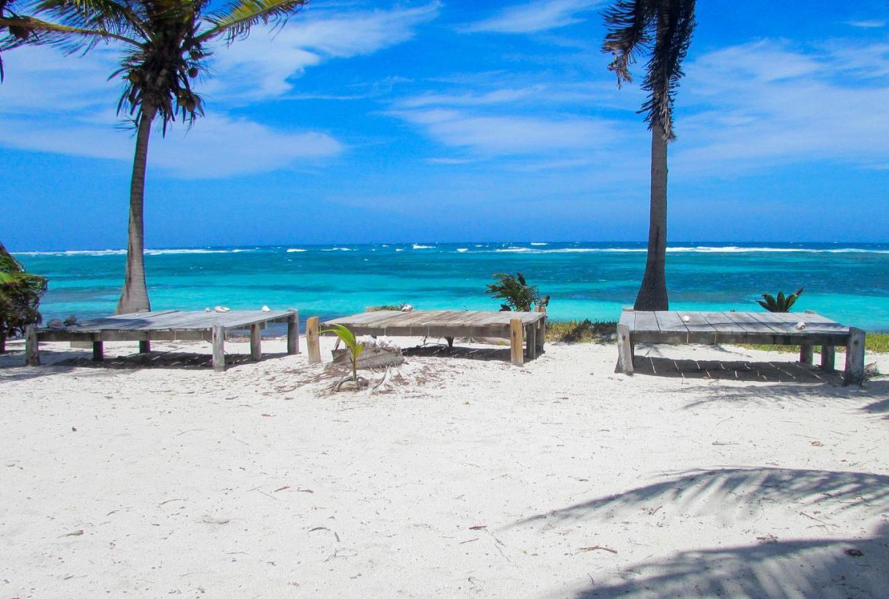 Cabanas Ecoturisticas Costa Maya มาอาอวล ภายนอก รูปภาพ