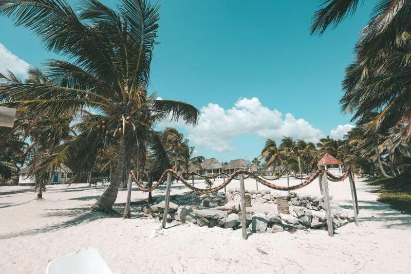 Cabanas Ecoturisticas Costa Maya มาอาอวล ภายนอก รูปภาพ
