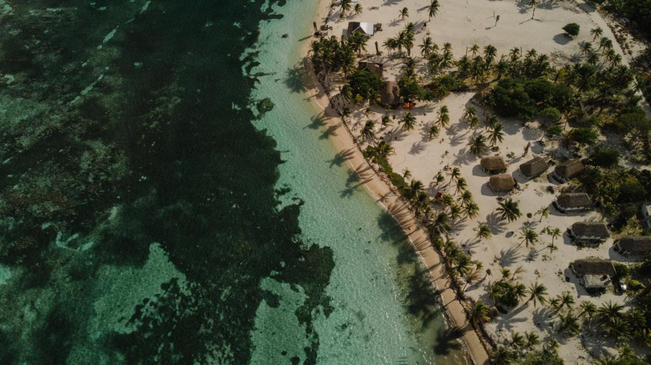 Cabanas Ecoturisticas Costa Maya มาอาอวล ภายนอก รูปภาพ