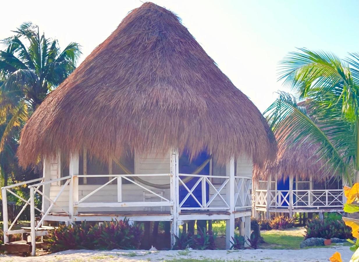 Cabanas Ecoturisticas Costa Maya มาอาอวล ภายนอก รูปภาพ