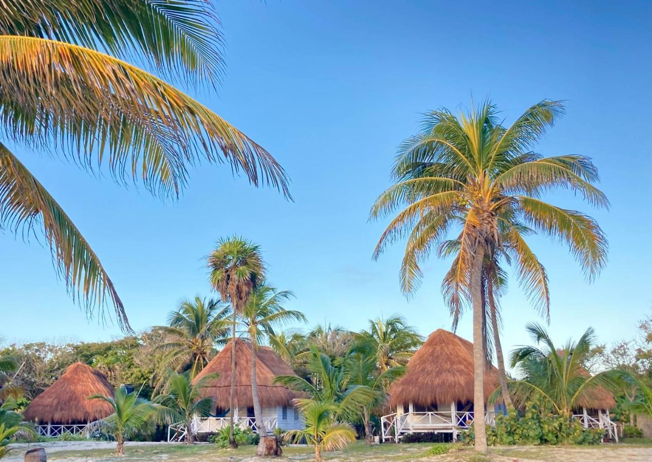 Cabanas Ecoturisticas Costa Maya มาอาอวล ภายนอก รูปภาพ