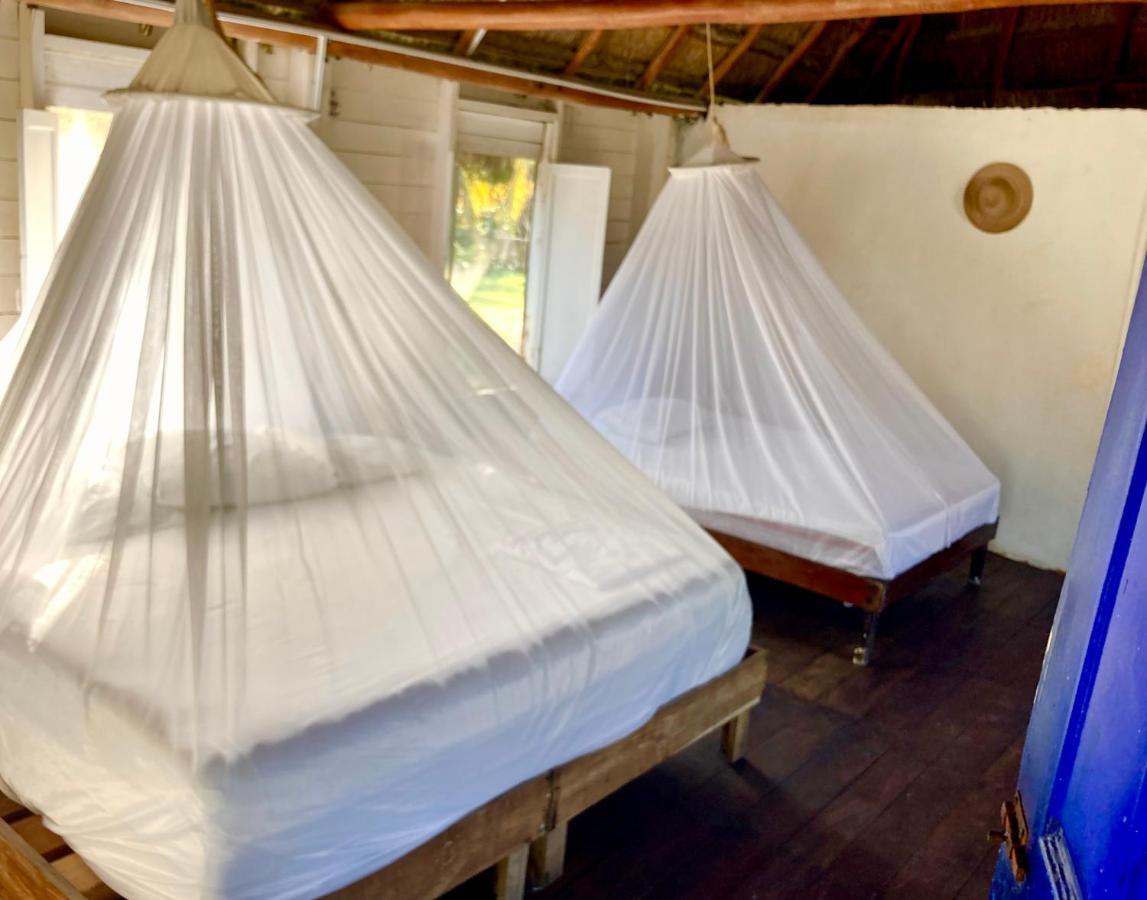 Cabanas Ecoturisticas Costa Maya มาอาอวล ภายนอก รูปภาพ