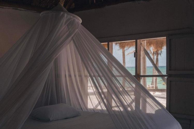 Cabanas Ecoturisticas Costa Maya มาอาอวล ภายนอก รูปภาพ