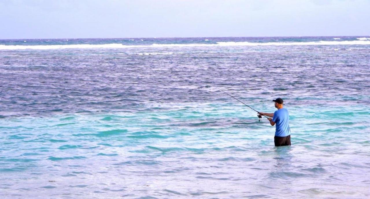Cabanas Ecoturisticas Costa Maya มาอาอวล ภายนอก รูปภาพ
