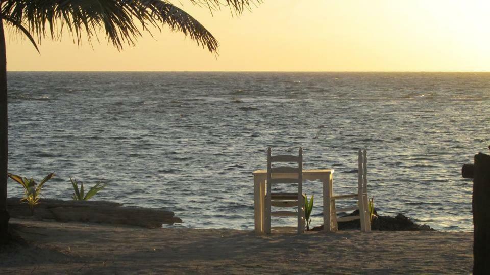 Cabanas Ecoturisticas Costa Maya มาอาอวล ภายนอก รูปภาพ
