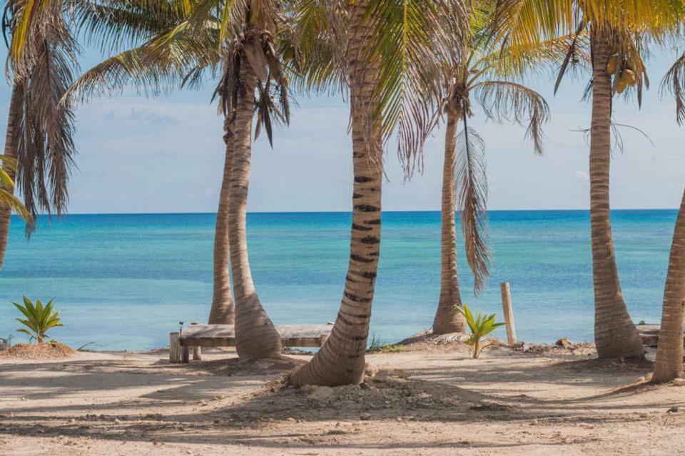 Cabanas Ecoturisticas Costa Maya มาอาอวล ภายนอก รูปภาพ