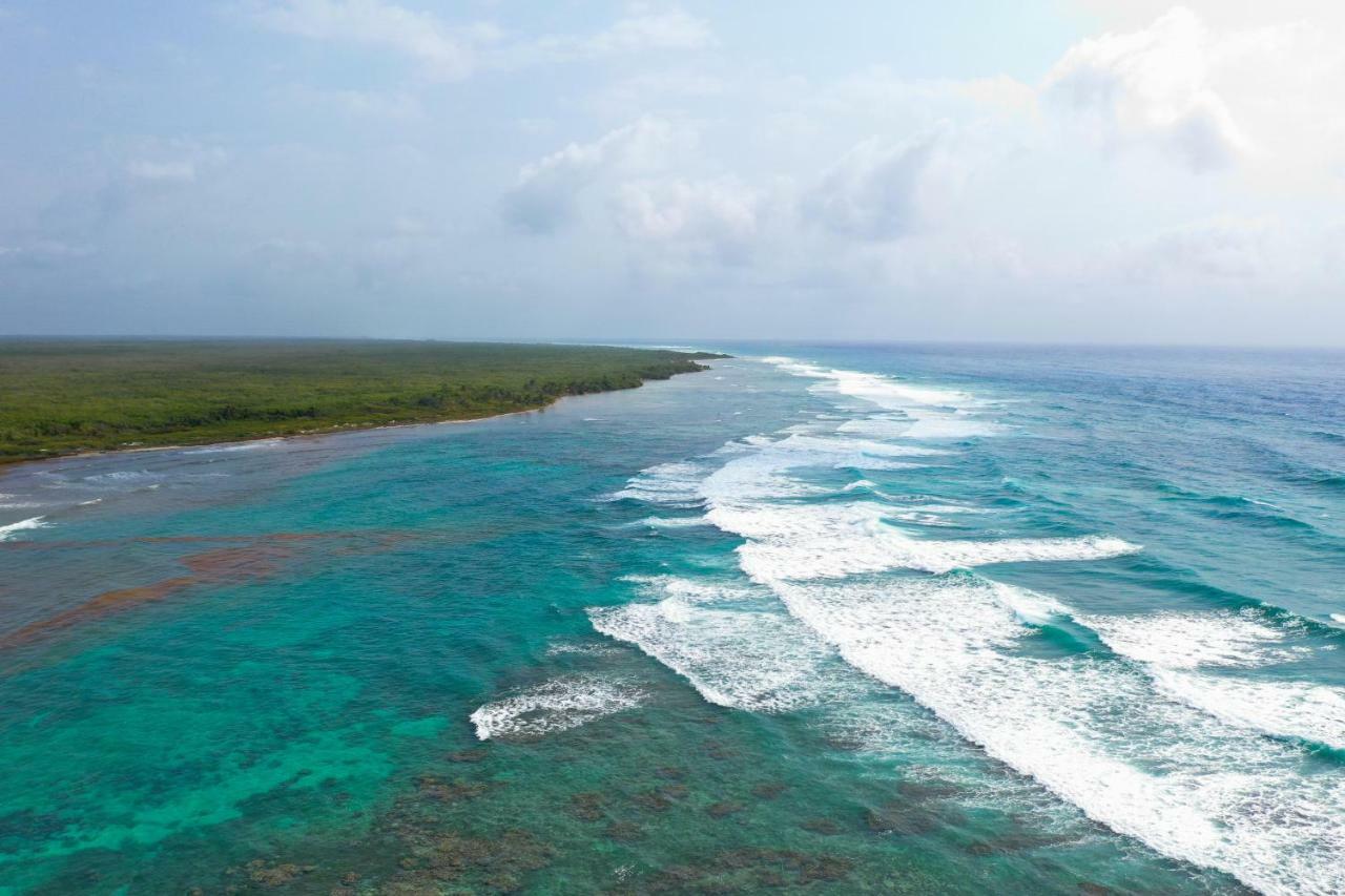 Cabanas Ecoturisticas Costa Maya มาอาอวล ภายนอก รูปภาพ
