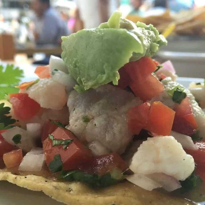 Cabanas Ecoturisticas Costa Maya มาอาอวล ภายนอก รูปภาพ