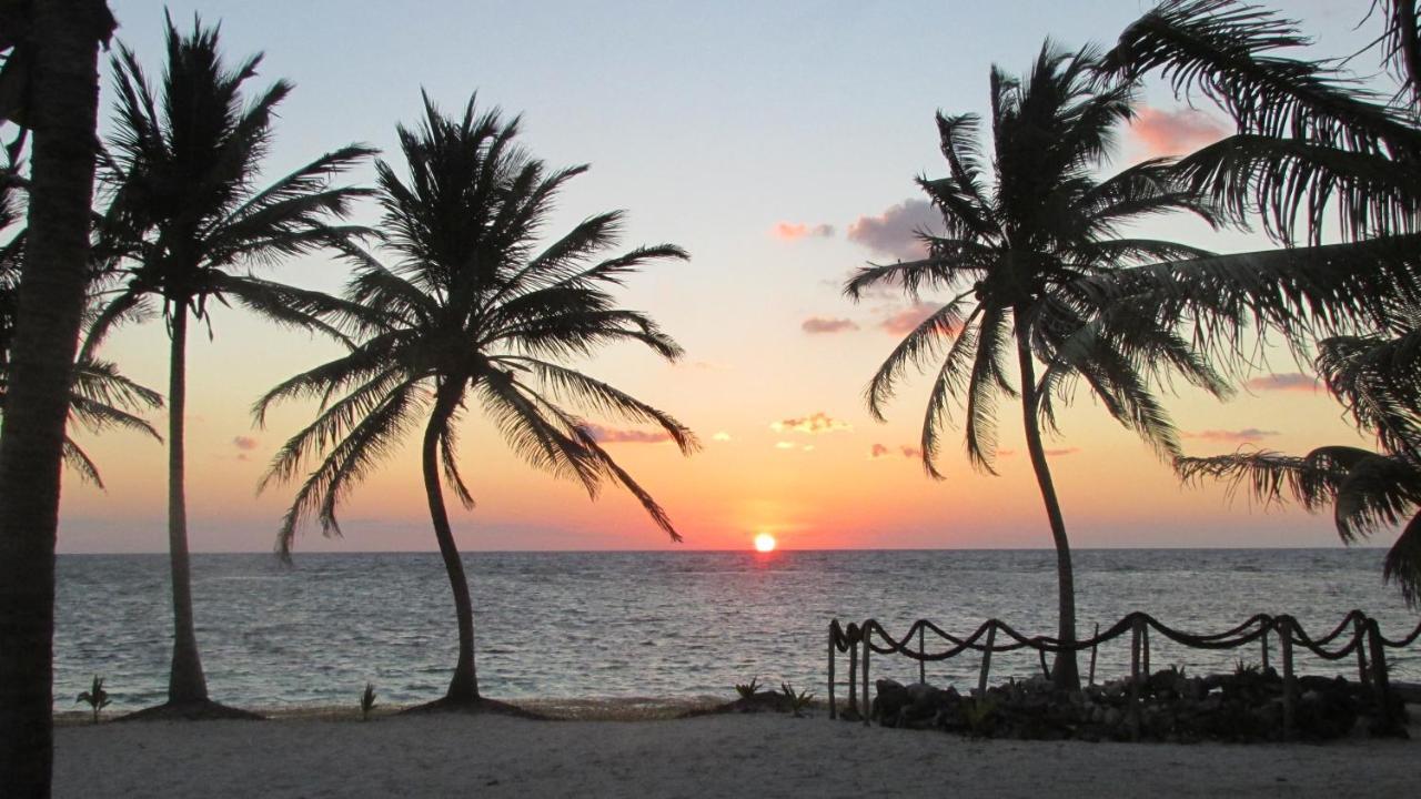 Cabanas Ecoturisticas Costa Maya มาอาอวล ภายนอก รูปภาพ