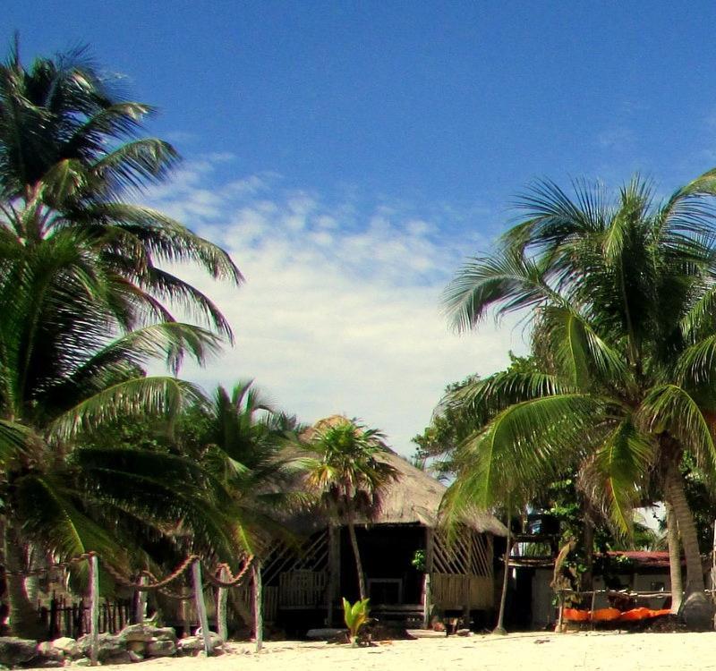 Cabanas Ecoturisticas Costa Maya มาอาอวล ภายนอก รูปภาพ